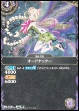 画像: 【C】オードナッター