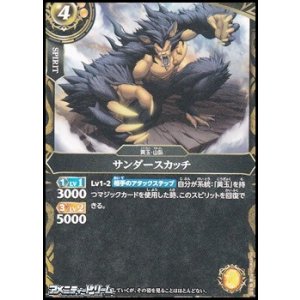 画像: 【C】サンダースカッチ