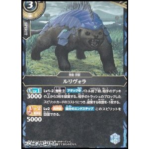 画像: 【C】ルリヴォラ
