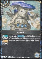 画像: 【C】ファーガス