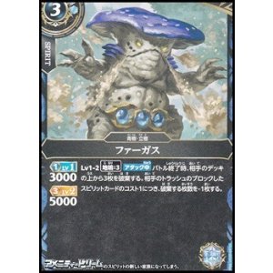 画像: 【C】ファーガス