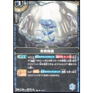 画像: 【C】青輝棘園