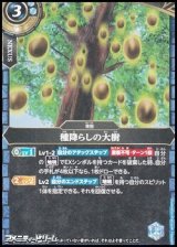 画像: 【C】種降らしの大樹