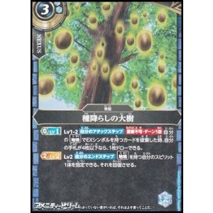 画像: 【C】種降らしの大樹