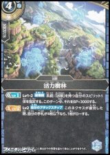 画像: 【C】活力樹林