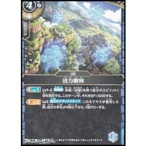画像: 【C】活力樹林