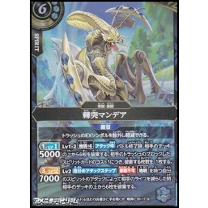 画像: 【M】棘突マンデア