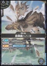 画像: 【M】散弾樹ハノーキ