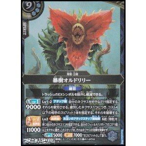 画像: 【M】暴樹オルドリリー