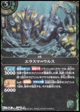 画像: 【R】エラスマ＝ウルス