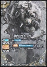 画像: 【SECRET X】球凶ホワイトベアド