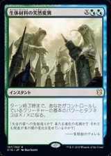 画像: 【日本語】生体材料の突然変異/Biomass Mutation