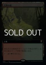 画像: ☆特殊枠【日本語】尖塔の庭/Spire Garden