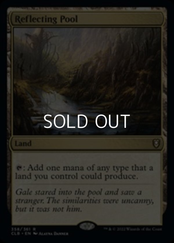 画像1: 【英語】反射池/Reflecting Pool (1)