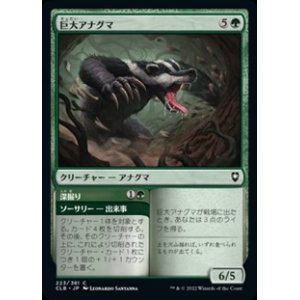 画像: 【日本語】巨大アナグマ/Colossal Badger