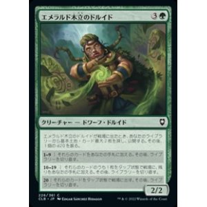 画像: 【日本語】エメラルド木立のドルイド/Druid of the Emerald Grove