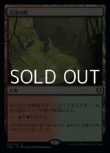 画像: 【日本語】尖塔の庭/Spire Garden