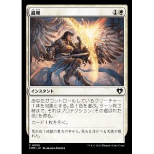 画像: 【日本語】避難/Shelter