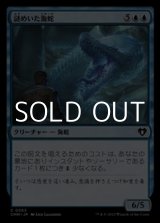 画像: 【日本語】謎めいた海蛇/Cryptic Serpent