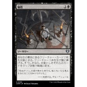 画像: 【日本語】犠牲/Victimize