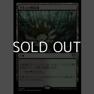 画像: 【日本語】下生えの競技場/Undergrowth Stadium