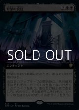 画像: ☆特殊枠【日本語】野望の宮廷/Court of Ambition
