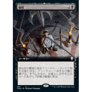 画像: ☆特殊枠【日本語】犠牲/Victimize