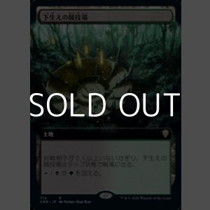 画像: ☆特殊枠【日本語】下生えの競技場/Undergrowth Stadium