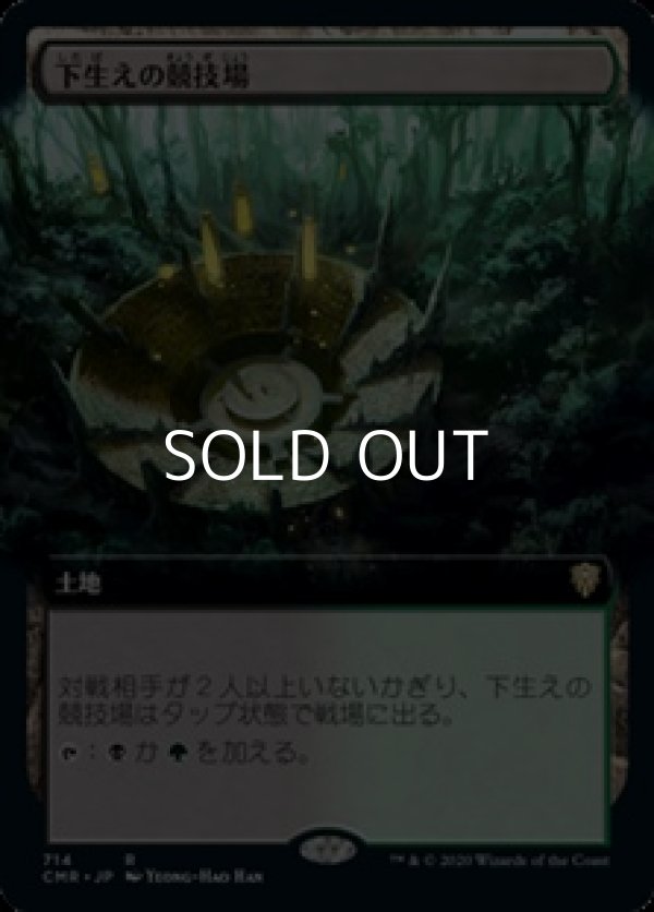 画像1: ☆特殊枠【日本語】下生えの競技場/Undergrowth Stadium (1)