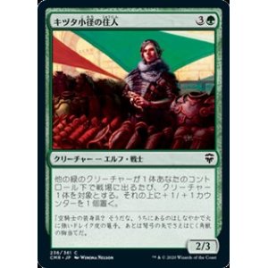 画像: 【日本語】キヅタ小径の住人/Ivy Lane Denizen