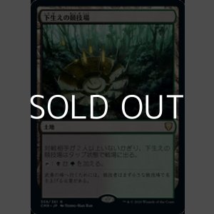 画像: 【日本語】下生えの競技場/Undergrowth Stadium