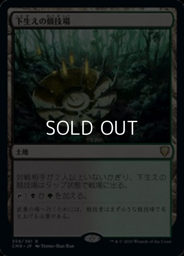 画像1: 【日本語】下生えの競技場/Undergrowth Stadium (1)