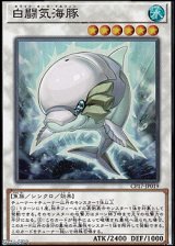 画像: 【スーパーレア】白闘気海豚