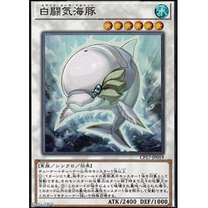 画像: 【スーパーレア】白闘気海豚