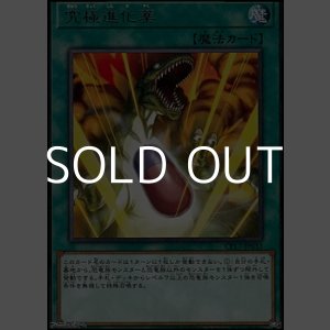 画像: 【レア】究極進化薬