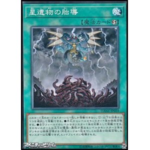 画像: 【ノーマル】星遺物の胎導