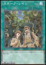 画像: 【パラレル】スネーク・レイン