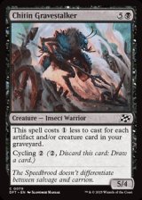 画像: 【英語】キチン質の墓地歩き/Chitin Gravestalker