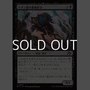 画像: 【日本語Foil】キチン質の墓地歩き/Chitin Gravestalker