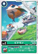 画像: 【C】ピナモン