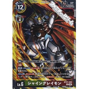 画像: 【R】シャイングレイモン