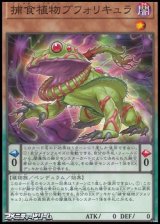 画像: 【ノーマル】捕食植物ブフォリキュア