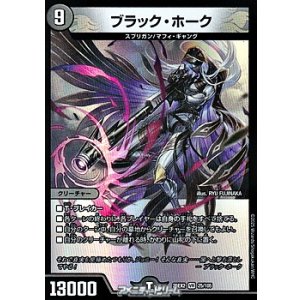 画像: 【VR】ブラック・ホーク