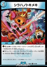 画像: 【U】シラハノトキメキ