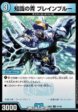 画像: 【C】知識の青 ブレインブルー