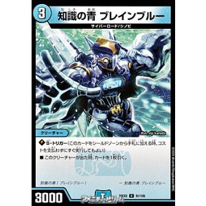 画像: 【C】知識の青 ブレインブルー