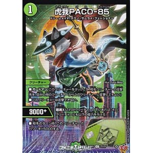 画像: 【C】虎我PACO-85