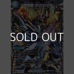 画像: 【銀トレジャーVIC】飛翔龍 5000VT