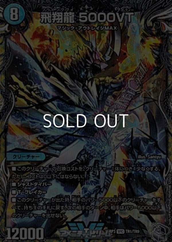 画像1: 【銀トレジャーVIC】飛翔龍 5000VT (1)
