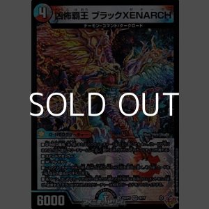 画像: 【VR】凶怖覇王 ブラックXENARCH